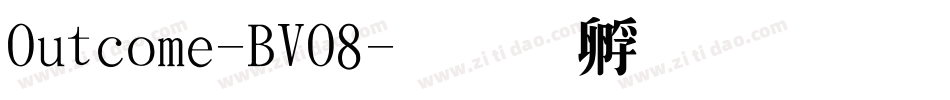 Outcome-BVO8字体转换