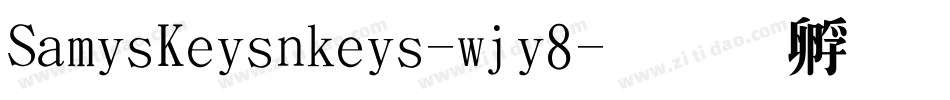 SamysKeysnkeys-wjy8字体转换