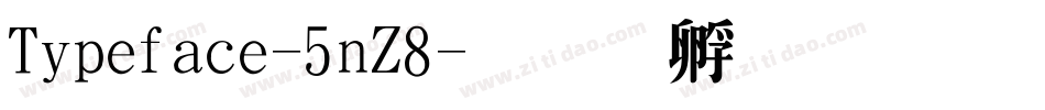 Typeface-5nZ8字体转换