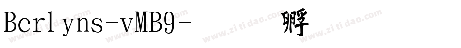 Berlins-vMB9字体转换