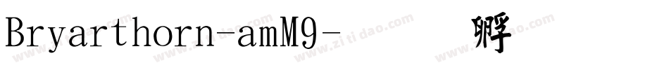 Briarthorn-amM9字体转换