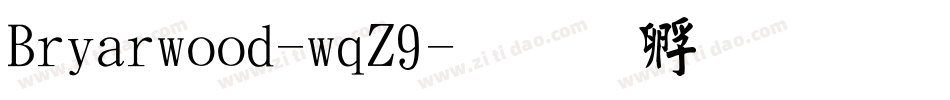 Briarwood-wqZ9字体转换
