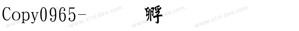 Copy0965字体转换