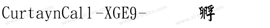 CurtainCall-XGE9字体转换