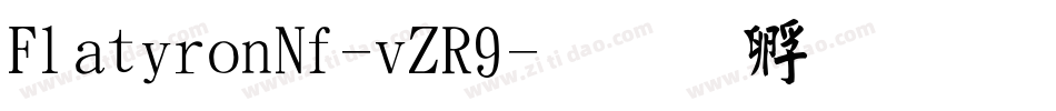 FlatironNf-vZR9字体转换