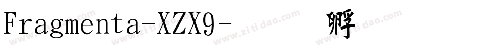 Fragmenta-XZX9字体转换