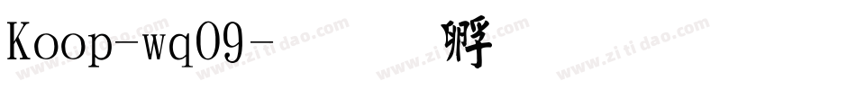 Koop-wqO9字体转换