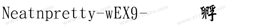 Neatnpretty-wEX9字体转换