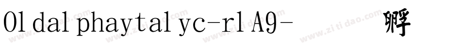 Oldalphaitalic-rlA9字体转换