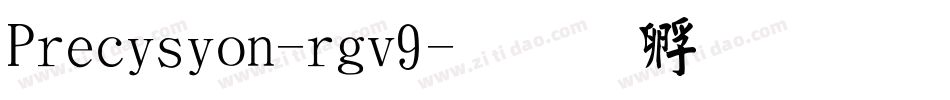 Precision-rgv9字体转换