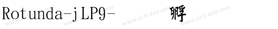 Rotunda-jLP9字体转换