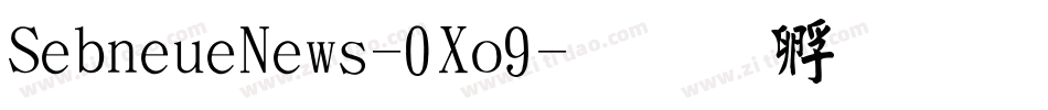 SebneueNews-0Xo9字体转换