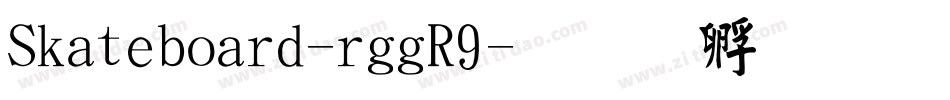 Skateboard-rggR9字体转换