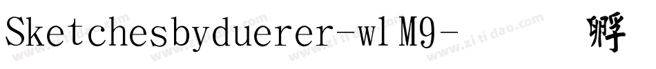 Sketchesbyduerer-wlM9字体转换