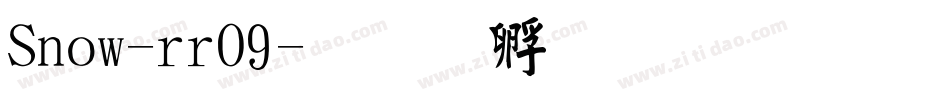 Snow-rrO9字体转换