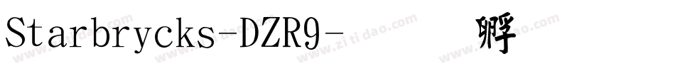 Starbricks-DZR9字体转换