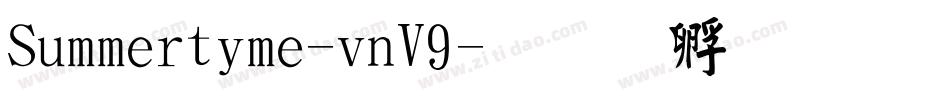 Summertime-vnV9字体转换