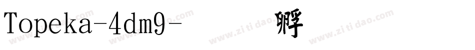 Topeka-4dm9字体转换