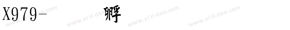 X979字体转换