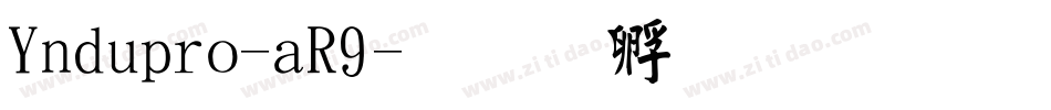 Yndupro-aR9字体转换