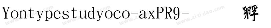 Yontypestudioco-axPR9字体转换
