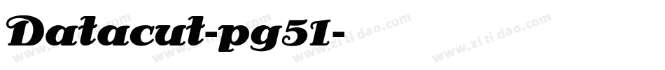 Datacut-pg51字体转换