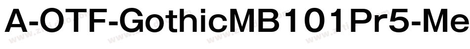 A-OTF-GothicMB101Pr5-Medium字体转换