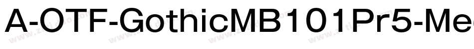 A-OTF-GothicMB101Pr5-Medium字体转换