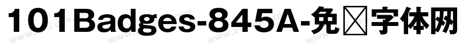 101Badges-845A字体转换