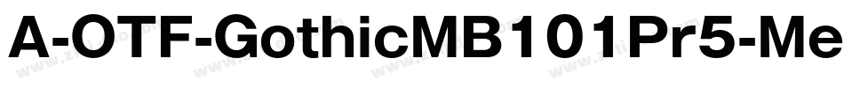 A-OTF-GothicMB101Pr5-Medium字体转换