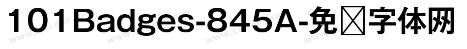 101Badges-845A字体转换