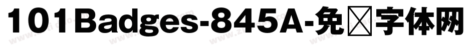 101Badges-845A字体转换