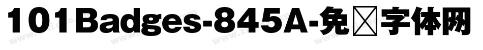 101Badges-845A字体转换