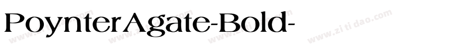 PoynterAgate-Bold字体转换