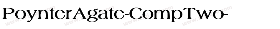PoynterAgate-CompTwo字体转换