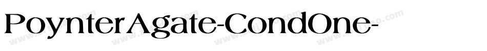 PoynterAgate-CondOne字体转换