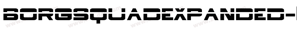 borgsquadexpanded字体转换