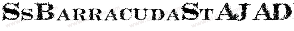 SsBarracudaSt-J1DE字体转换