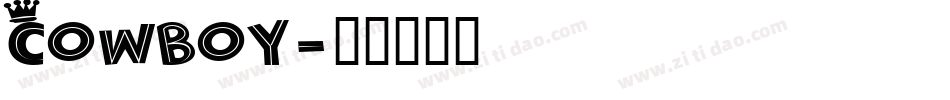 Cowboy字体转换