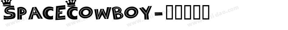 SpaceCowboy字体转换