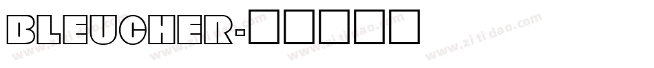 BLEUCHER字体转换