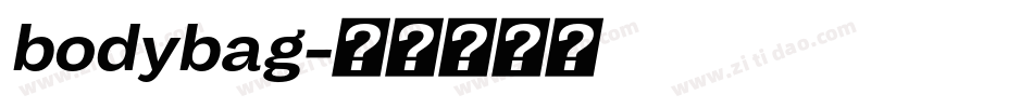 bodybag字体转换