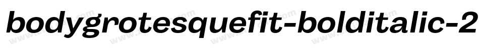 bodygrotesquefit-bolditalic-2字体转换
