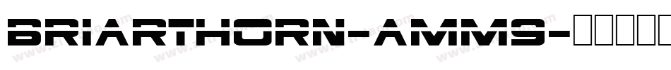 Briarthorn-amM9字体转换