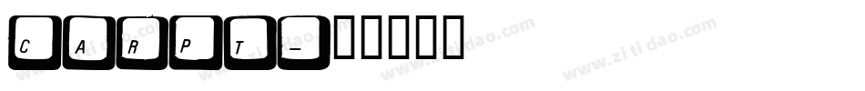 CARPT字体转换