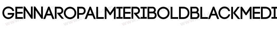 GennaroPalmieriBoldBlackMedium-qpw0字体转换 GennaroPalmieriBoldBlackMedium-qpw0字体转换