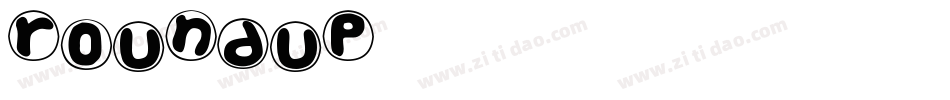 RoundUp字体转换