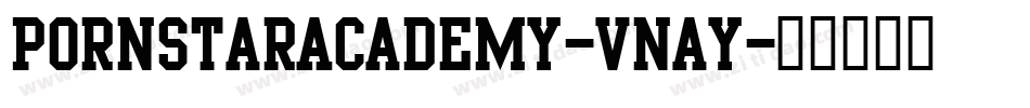 PornStarAcademy-vnay字体转换