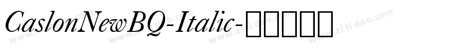 CaslonNewBQ-Italic字体转换