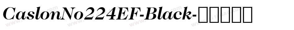 CaslonNo224EF-Black字体转换